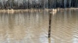 В Северном Казахстане готовятся к паводкам: укрепляют дамбы и затаскивают на верхние этажи мебель 